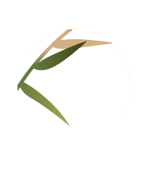 logo-b-3